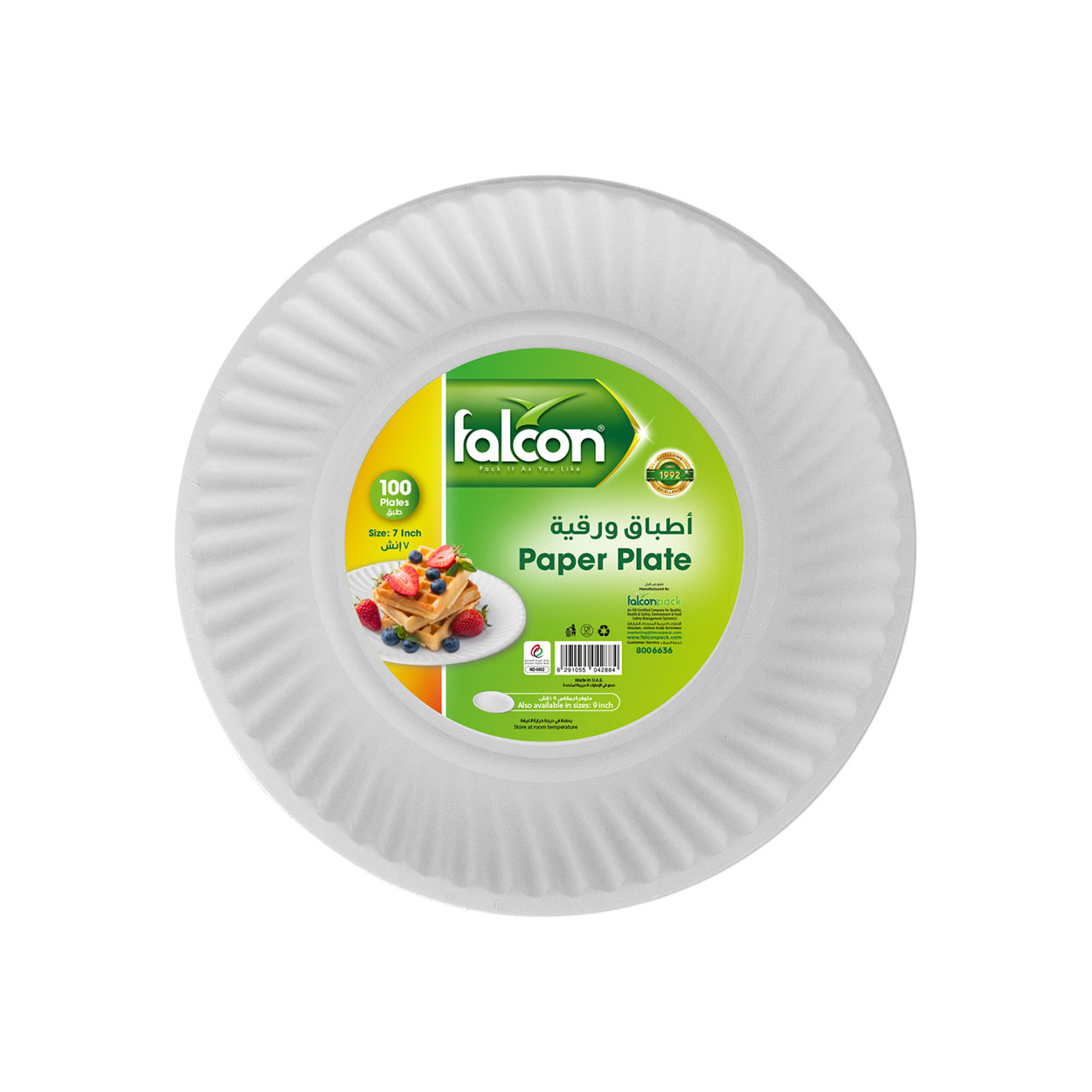 Paper Plate Paper Plate