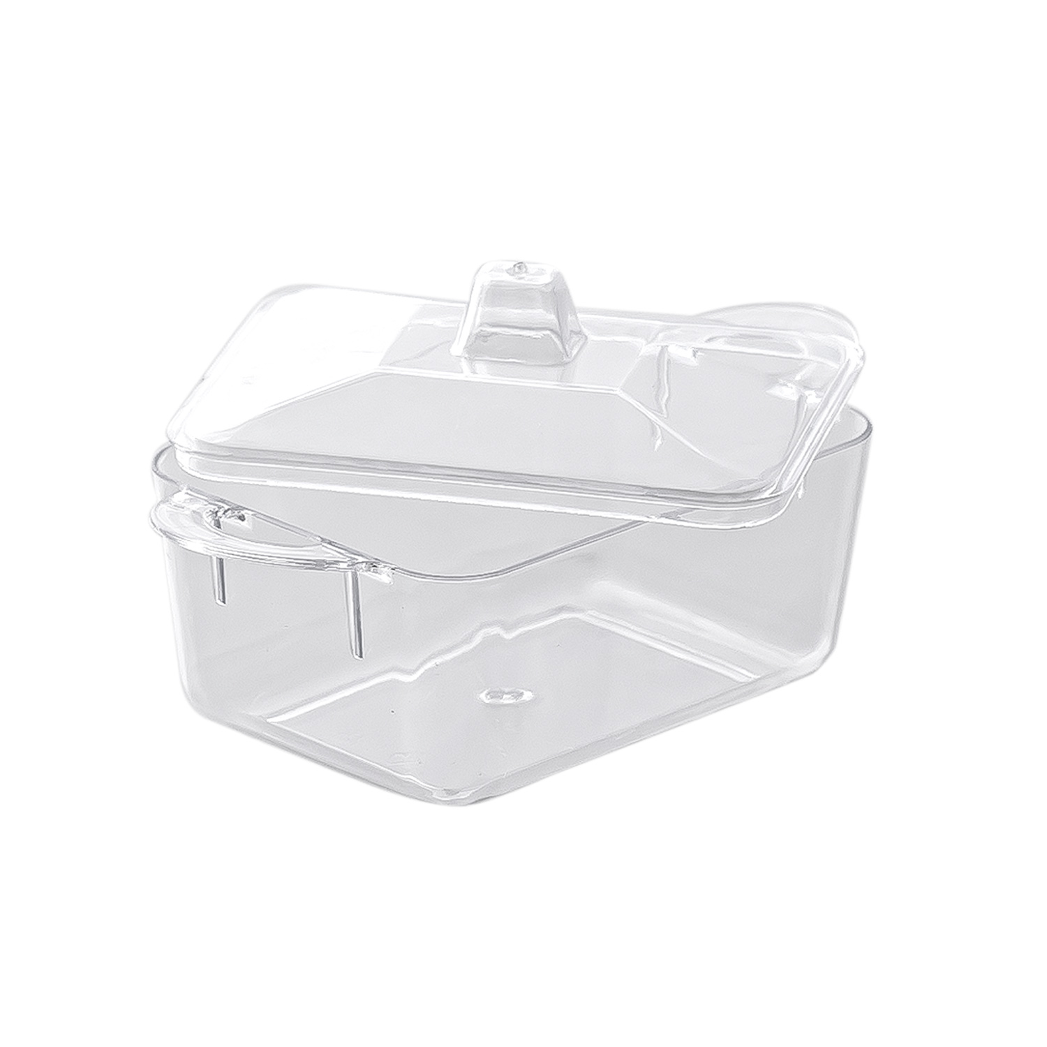 Plastic Dessert Container Plastic Dessert Container